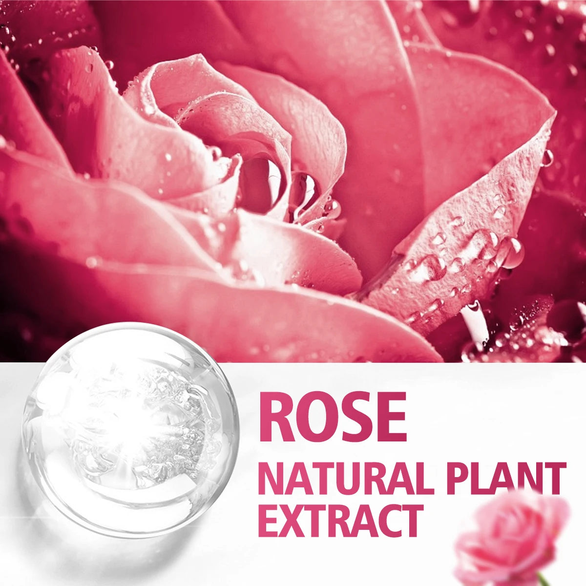 100 ml/60 ml/30 ml huile essentielle de rose soins de la peau parfum aromathérapie huile essentielle parfum Massage huile hydratante